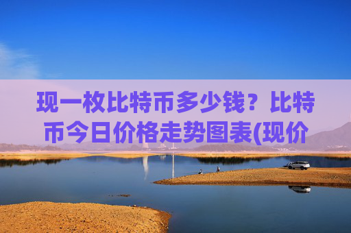 现一枚比特币多少钱？比特币今日价格走势图表(现价743673.9元)