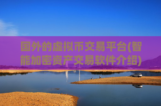 国外的虚拟币交易平台(智能加密资产交易软件介绍)