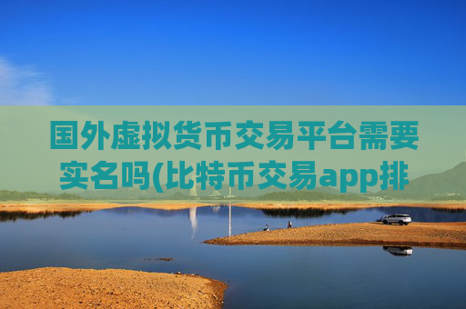 国外虚拟货币交易平台需要实名吗(比特币交易app排名分析)