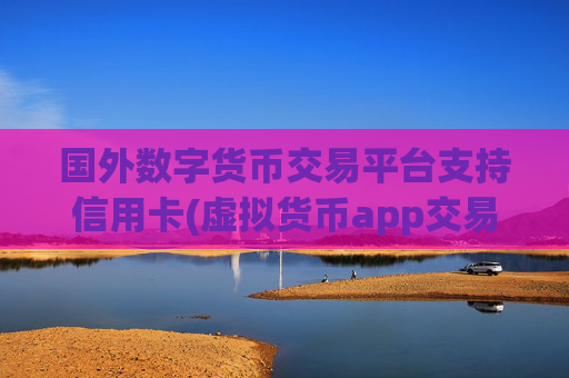 国外数字货币交易平台支持信用卡(虚拟货币app交易操作简单)