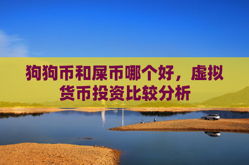 狗狗币和屎币哪个好，虚拟货币投资比较分析