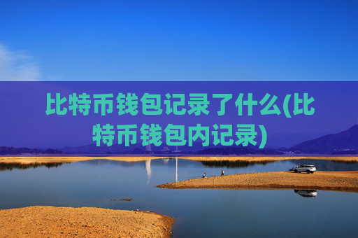 比特币钱包记录了什么(比特币钱包内记录)