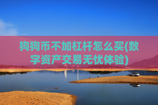 狗狗币不加杠杆怎么买(数字资产交易无忧体验)