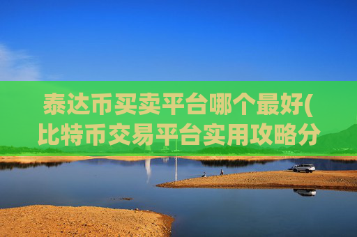 泰达币买卖平台哪个最好(比特币交易平台实用攻略分享)