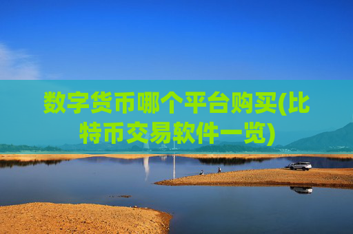 数字货币哪个平台购买(比特币交易软件一览)
