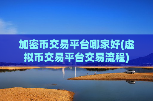 加密币交易平台哪家好(虚拟币交易平台交易流程)