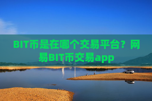 BIT币是在哪个交易平台？网易BIT币交易app