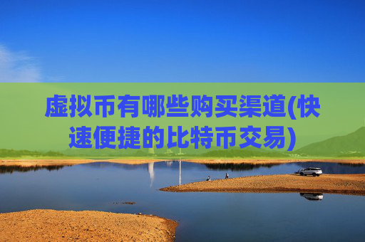 虚拟币有哪些购买渠道(快速便捷的比特币交易)