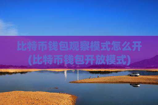比特币钱包观察模式怎么开(比特币钱包开放模式)