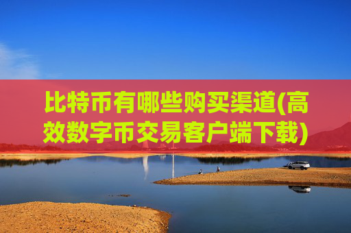 比特币有哪些购买渠道(高效数字币交易客户端下载)