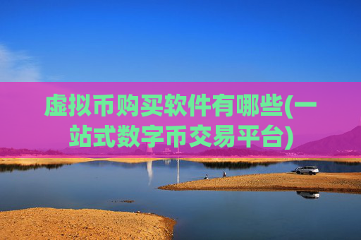 虚拟币购买软件有哪些(一站式数字币交易平台)