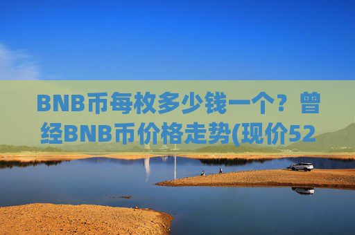 BNB币每枚多少钱一个？曾经BNB币价格走势(现价5294.88元)