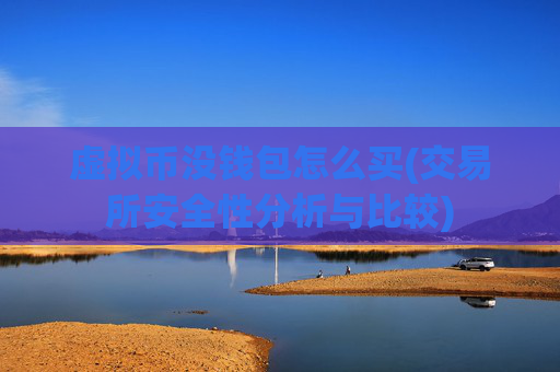 虚拟币没钱包怎么买(交易所安全性分析与比较)