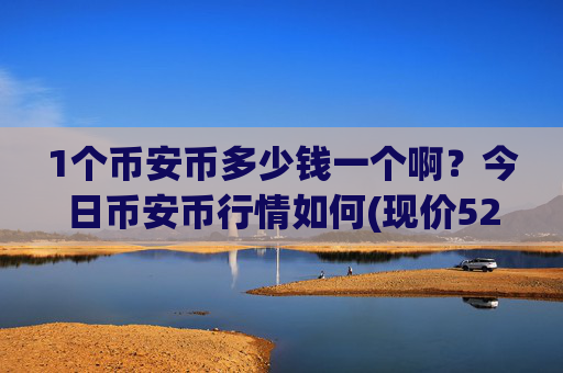 1个币安币多少钱一个啊？今日币安币行情如何(现价5292.91元)