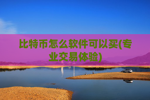 比特币怎么软件可以买(专业交易体验)