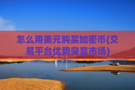 怎么用美元购买加密币(交易平台优势突显市场)