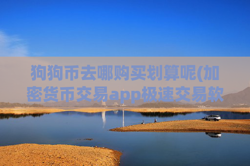 狗狗币去哪购买划算呢(加密货币交易app极速交易软件)