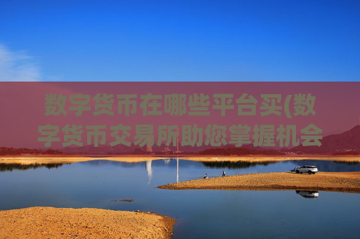 数字货币在哪些平台买(数字货币交易所助您掌握机会)