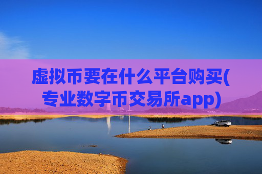 虚拟币要在什么平台购买(专业数字币交易所app)