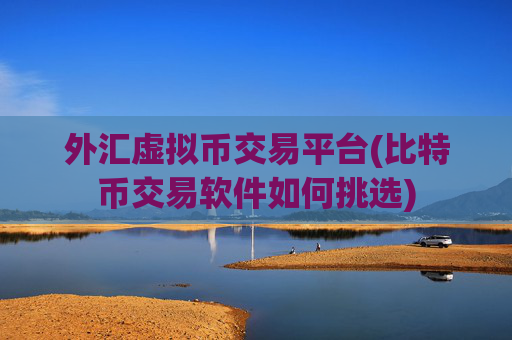 外汇虚拟币交易平台(比特币交易软件如何挑选)