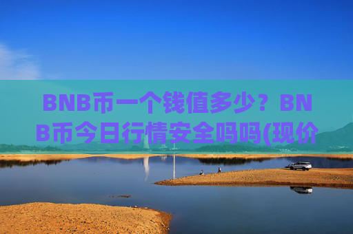 BNB币一个钱值多少？BNB币今日行情安全吗吗(现价5307.3元)