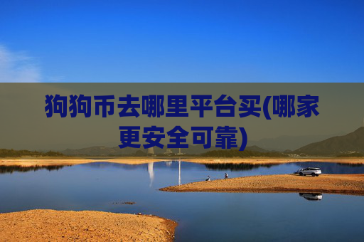 狗狗币去哪里平台买(哪家更安全可靠)
