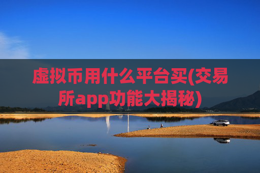 虚拟币用什么平台买(交易所app功能大揭秘)