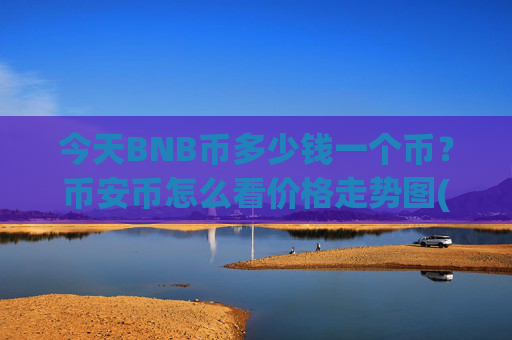 今天BNB币多少钱一个币？币安币怎么看价格走势图(现价5302.49元)