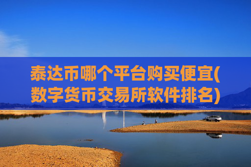 泰达币哪个平台购买便宜(数字货币交易所软件排名)