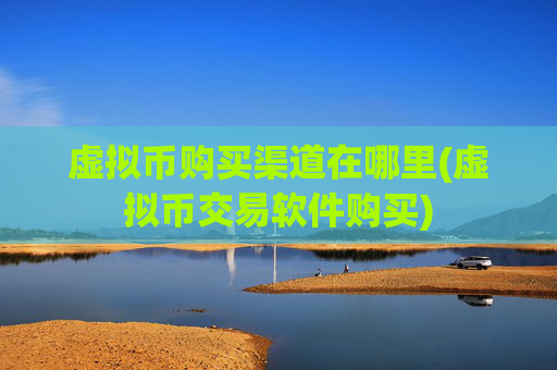 虚拟币购买渠道在哪里(虚拟币交易软件购买)