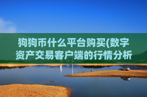 狗狗币什么平台购买(数字资产交易客户端的行情分析)