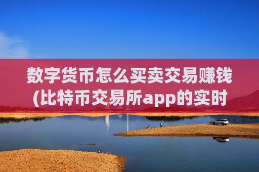 数字货币怎么买卖交易赚钱(比特币交易所app的实时行情)