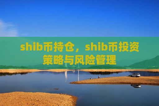 shib币持仓，shib币投资策略与风险管理