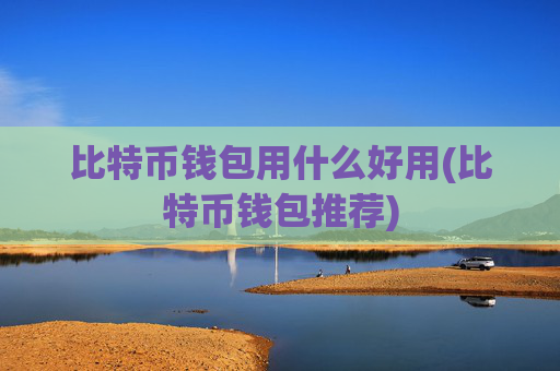 比特币钱包用什么好用(比特币钱包推荐)