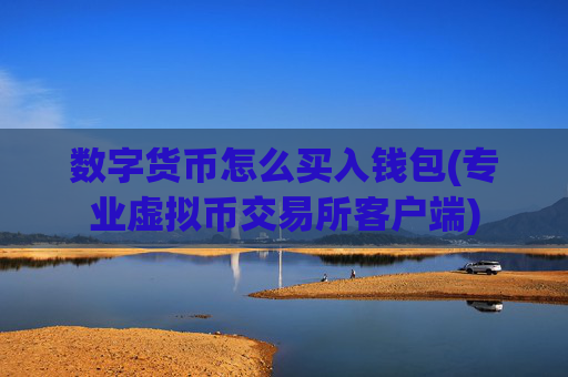 数字货币怎么买入钱包(专业虚拟币交易所客户端)