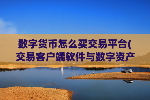 数字货币怎么买交易平台(交易客户端软件与数字资产)