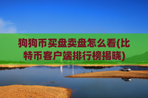 狗狗币买盘卖盘怎么看(比特币客户端排行榜揭晓)