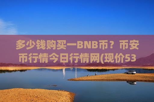 多少钱购买一BNB币？币安币行情今日行情网(现价5310.21元)