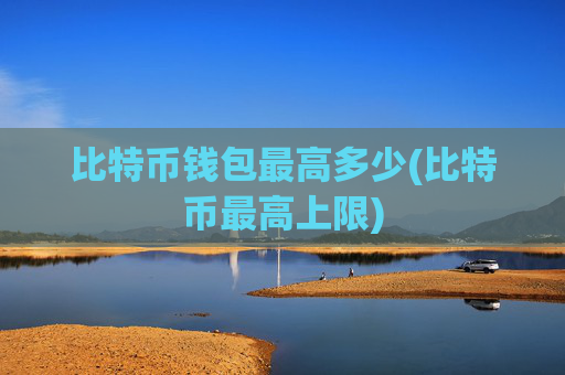 比特币钱包最高多少(比特币最高上限)