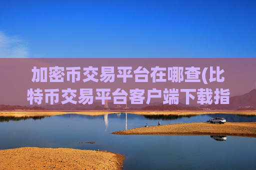 加密币交易平台在哪查(比特币交易平台客户端下载指南)