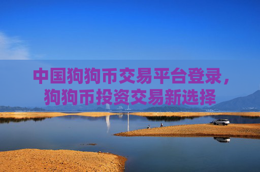 中国狗狗币交易平台登录，狗狗币投资交易新选择