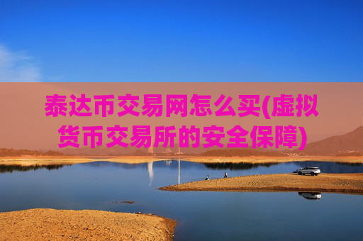 泰达币交易网怎么买(虚拟货币交易所的安全保障)