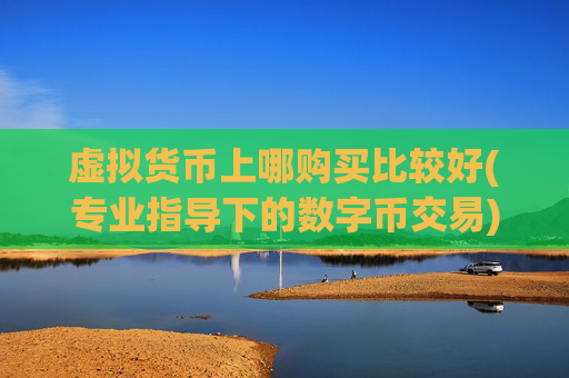 虚拟货币上哪购买比较好(专业指导下的数字币交易)