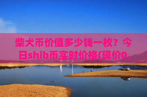 柴犬币价值多少钱一枚？今日shib币实时价格(现价0.00023318元)