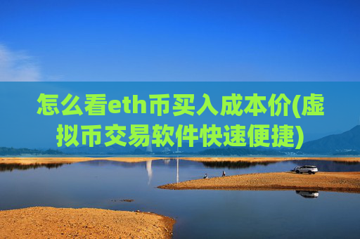 怎么看eth币买入成本价(虚拟币交易软件快速便捷)