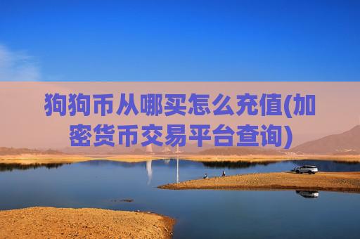 狗狗币从哪买怎么充值(加密货币交易平台查询)