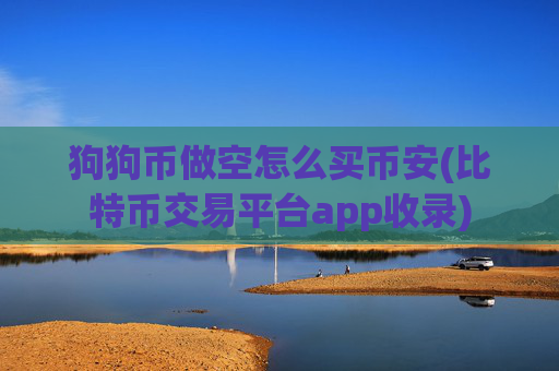 狗狗币做空怎么买币安(比特币交易平台app收录)