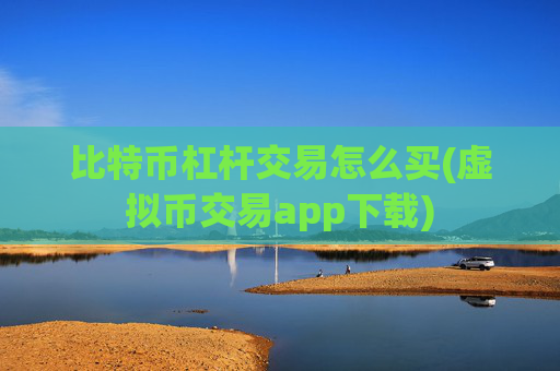 比特币杠杆交易怎么买(虚拟币交易app下载)