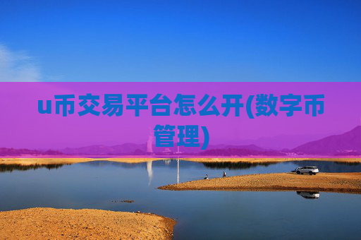 u币交易平台怎么开(数字币管理)