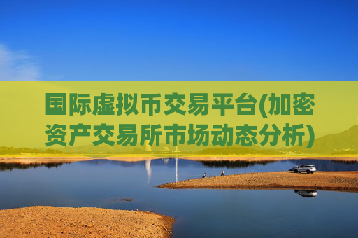 国际虚拟币交易平台(加密资产交易所市场动态分析)